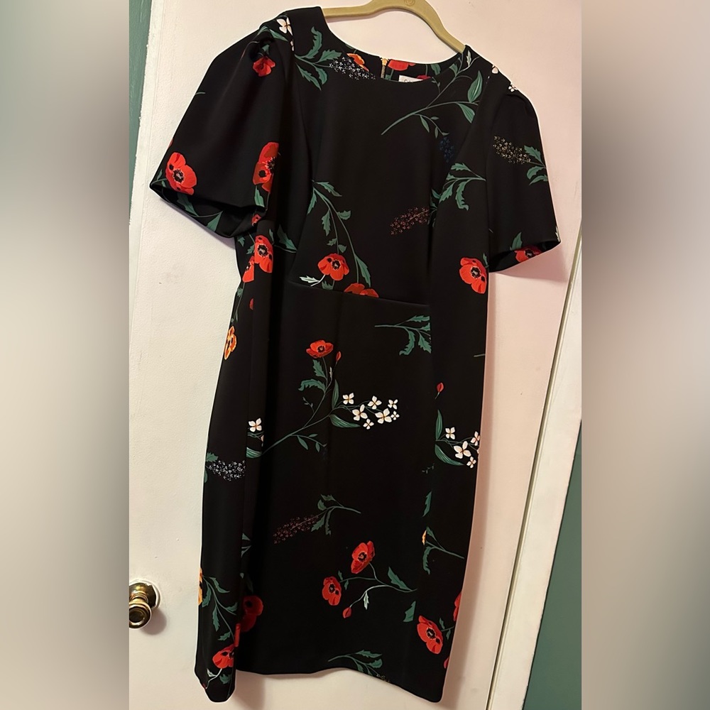 Floral print, plus size dress